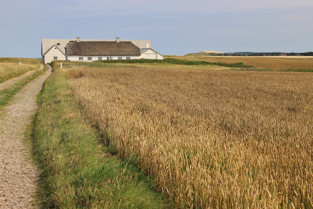 Photo thatched roof